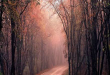 塞浦路斯队奋力拼搏，终结以色列队连胜