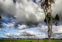 勇士再挫对手！金州队员全力以赴