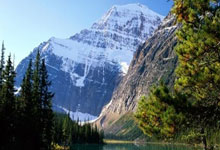 热火大获胜利！迈阿密球队实力出众