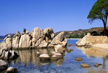 陕西队喜从天降，取得胜利走向辉煌未来